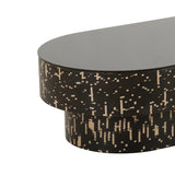 Faye Black Glass Coffee Table Black TOV-OC68586