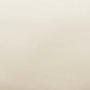 Avery Cream Velvet Chair