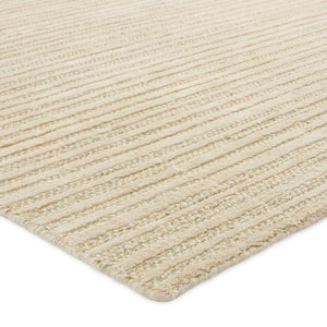 Jaipur Living Topo Abdar TPO02 Handwoven Handmade Indoor Contemporary Rug Ivory 8' x 10'