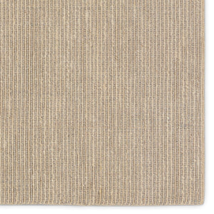 Jaipur Living Topo Latona TPO03 Handwoven Handmade Indoor Contemporary Rug Gray 9' x 12'