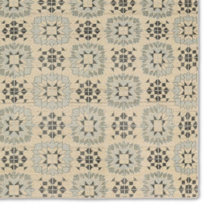 Jaipur Living Tessera by Verde Home Crystal TSS02 Hand Knotted Handmade Indoor Persian Knot 6/8 Transitional Rug Gray 10' x 14'