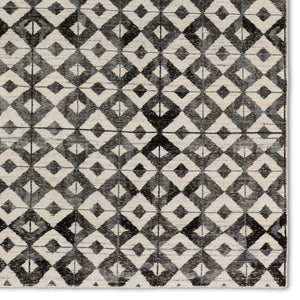 Jaipur Living Tessera by Verde Home Gem TSS03 Hand Knotted Handmade Indoor Persian Knot 6/8 Modern Rug Black 6' x 9'