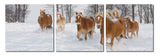 Horse Herd Mounted Photography Print Triptych