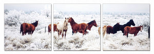 VIG Furniture Modrest Mustangs 3-Panel Photo On Canvas VGSCSB-6999ABC