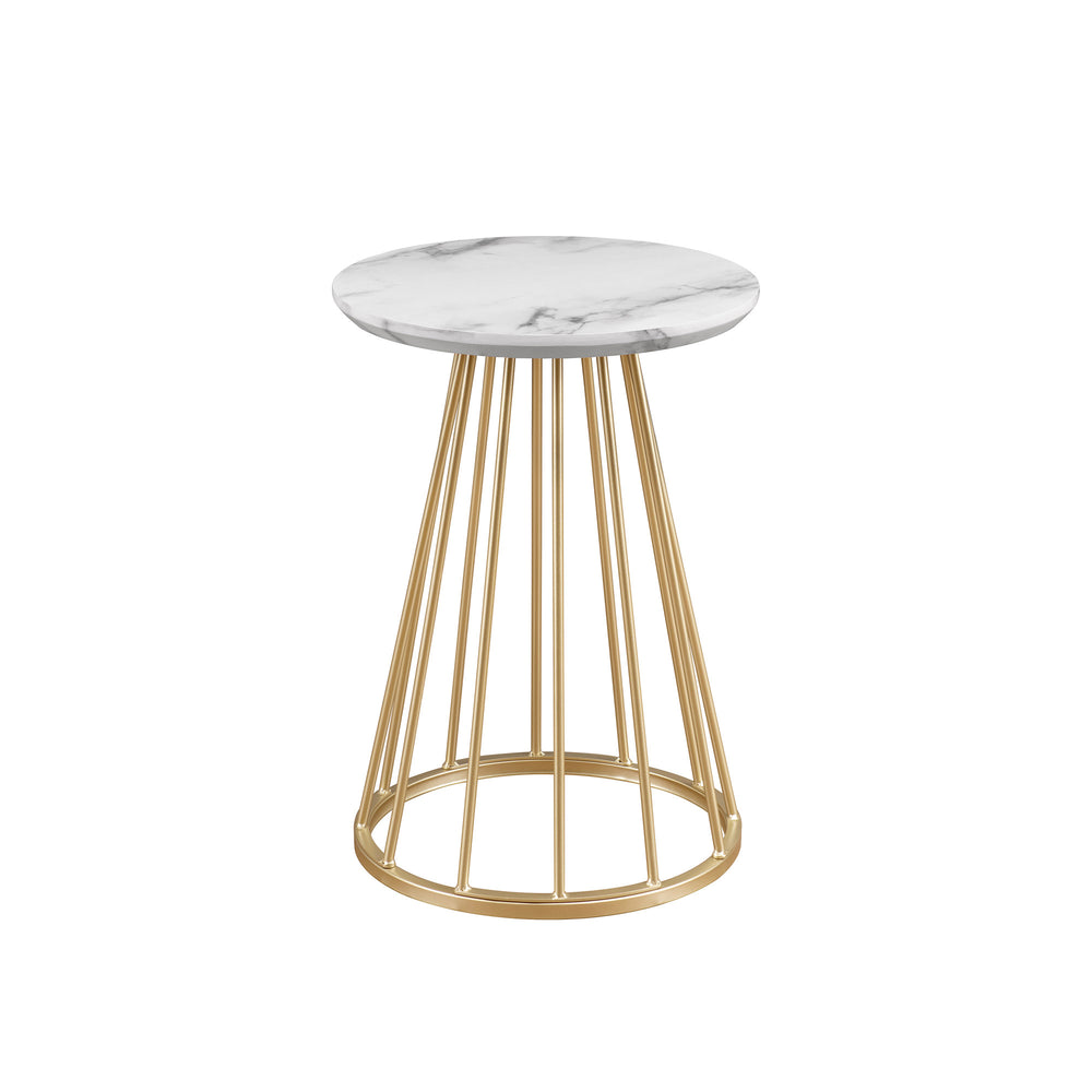 Walker Edison Vivian Modern/Contemporary 16" Modern Side Table with Metal Caged Base VIVL8KGWM