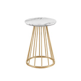 Walker Edison Vivian Modern/Contemporary 16" Modern Side Table with Metal Caged Base VIVL8KGWM