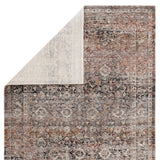 Jaipur Living Valentia Collection VLN03 Elio 70% Polyester 30% Viscose Machine Made Updated Traditional Oriental Rug RUG152949