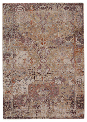 Jaipur Living Valentia Collection VLN11 Thessaly 65% Polyester 35% Viscose Machine Made Updated Traditional Medallion Rug RUG152957