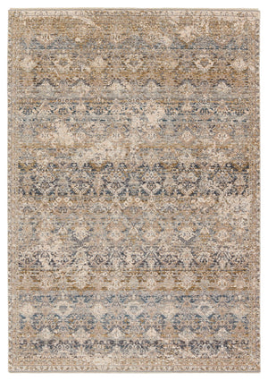 Jaipur Living Valentia Skylark VLN22 Power Loomed 70% Polyester 30% Viscose Trellis Area Rug Gray 70% Polyester 30% Viscose RUG155032