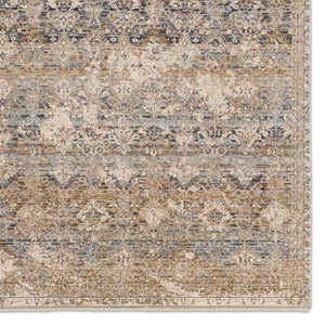 Jaipur Living Valentia Skylark VLN22 Power Loomed 70% Polyester 30% Viscose Trellis Area Rug Gray 70% Polyester 30% Viscose RUG155032