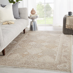 Jaipur Living Vienne Collection VNE10 Lourdes 53% Polyester 47% Viscose Machine Made Transitional Trellis Rug RUG146931