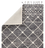 Nikki Chu by Jaipur Living Rhea Handmade Trellis Gray/ Ivory Area Rug (9'X12')