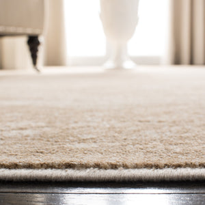 Safavieh Vintage 138 Power Loomed 67.7% Viscose/20.6% Polyester/11.8% Cotton Rug VTG138-3440-57