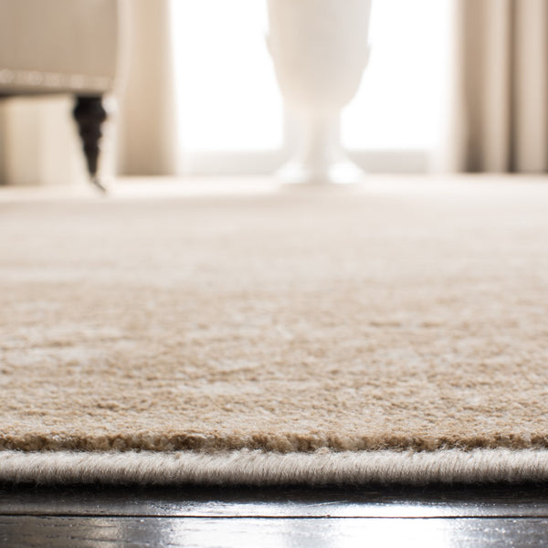 Safavieh Vintage 138 Power Loomed 67.7% Viscose/20.6% Polyester/11.8% Cotton Rug VTG138-3440-57