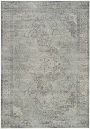 Safavieh Vintage 159 Power Loomed 67.7% Viscose/20.6% Polyester/11.8% Cotton Rug VTG159-7660-26
