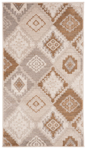 Safavieh Vintage 577 Power Loomed Polypropylene Rug VTGB577M-24