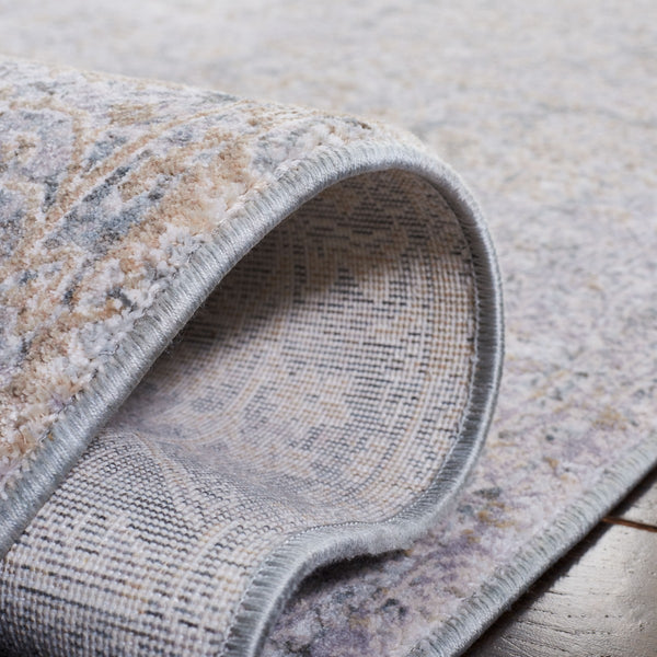 Safavieh Webster 312 Power Loomed 75% Polyester + 25% Viscose Transitional Rug WBS312G-7SQ