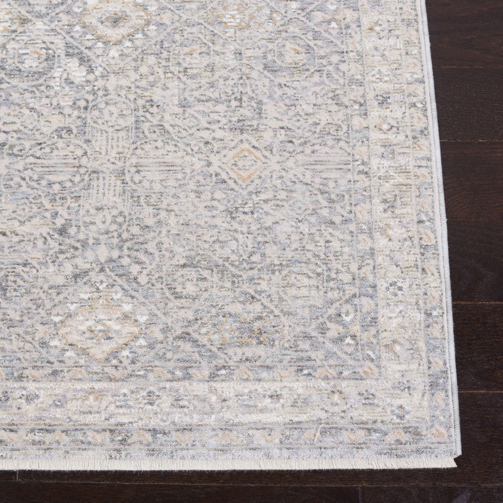 Webster 300 Webster 334 Transitional Power Loomed 75% Polyester + 25% Viscose Rug Grey / Beige