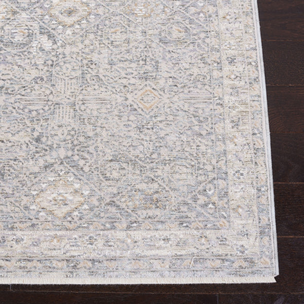 Webster 300 Webster 334 Transitional Power Loomed 75% Polyester + 25% Viscose Rug Grey / Beige