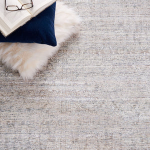 Safavieh Webster 336 Power Loomed 75% Polyester + 25% Viscose Transitional Rug WBS336G-7SQ