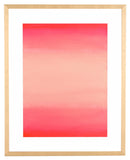 Safavieh Legally Pink, 16 X 20 Inch, Hot Pink/Blush, Framed Wall Art Hot Pink / Blush Pink Paper / Polystyrene Frame / Perpex Glass WLA2037A