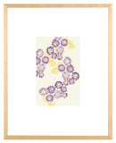 Safavieh Clematis Constellation, 16 X 20 Inch, Purple/Yellow, Framed Wall Art Purple / Yellow Paper / Polystyrene Frame / Perpex Glass WLA2064A