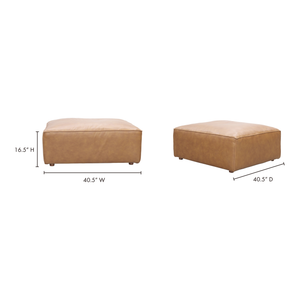 Moe's Home Form Ottoman Sonoran Tan Leather XQ-1003-40