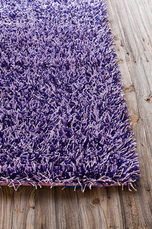 Chandra Rugs Zara 100% Polyester Hand-Woven Contemporary Rug Purple/Lavendar 9' x 13'