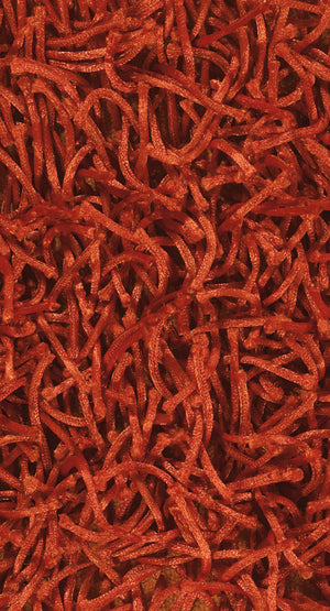 Chandra Rugs Zara 100% Polyester Hand-Woven Contemporary Rug Rust 9' x 13'