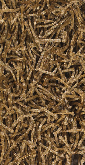 Chandra Rugs Zara 100% Polyester Hand-Woven Contemporary Rug Brown 9' x 13'