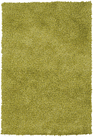 Chandra Rugs Zara 100% Polyester Hand-Woven Contemporary Rug Green 9' x 13'