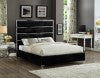 Zuma Velvet / Engineered Wood / Metal / Foam Contemporary Black Velvet Queen Bed - 65" W x 86" D x 59" H