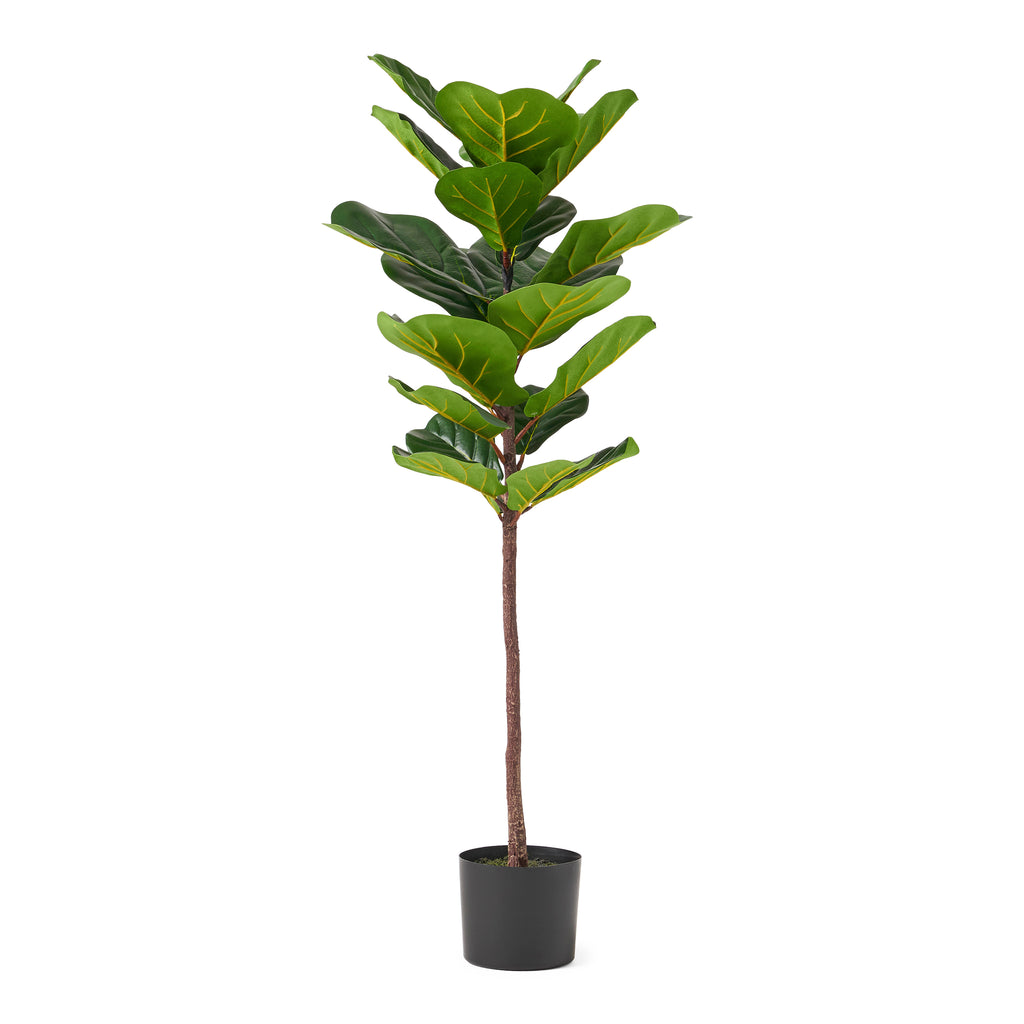 Socorro 4' x 1.5' Artificial Fiddle-Leaf Fig Tree, Green Noble House