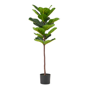 Socorro 4' x 1.5' Artificial Fiddle-Leaf Fig Tree, Green Noble House
