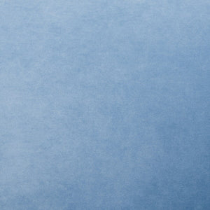 Safavieh Briony Accent Chair ACH4003C