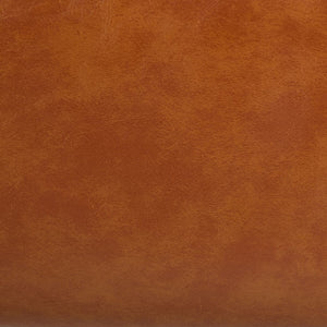 Delfino Accent Chair Cognac Wood ACH4009A