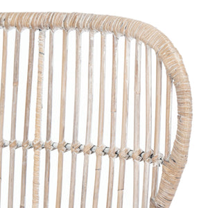 Lenu Rattan Accent Chair W/ Cushion