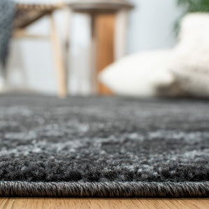 Safavieh Adirondack 131 Power Loomed 55% Polypropylene/ 40% Jute/ 5% Polyester Rug ADR131F-9