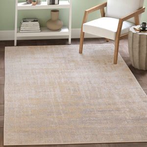 Safavieh Adirondack 207 Power Loomed 55% Polypropylene/ 40% Jute/ 5% Polyester Contemporary Rug ADR207A-26