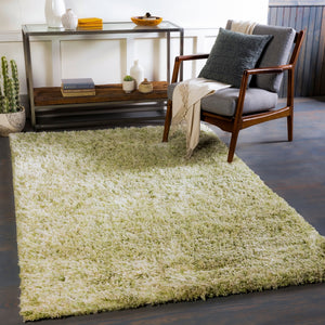 Anaheim AHM-2303 Modern Polyester Rug AHM2303-810 Grass Green, Moss, Seafoam, Sage, White 100% Polyester 8' x 10'