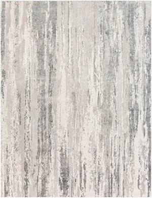 Aisha AIS-2304 Modern Viscose, Polyester Rug AIS2304-710103 Medium Gray, Charcoal, Light Gray, White 70% Viscose, 30% Polyester 7'10" x 10'3"