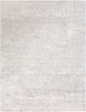 Aisha AIS-2307 Traditional Viscose, Polyester Rug AIS2307-710103 Light Gray, White 70% Viscose, 30% Polyester 7'10" x 10'3"