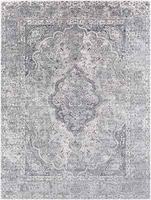 Aisha AIS-2319 Traditional Polyester Rug AIS2319-710103 Medium Gray, Taupe, Charcoal, Ivory 100% Polyester 7'10" x 10'3"
