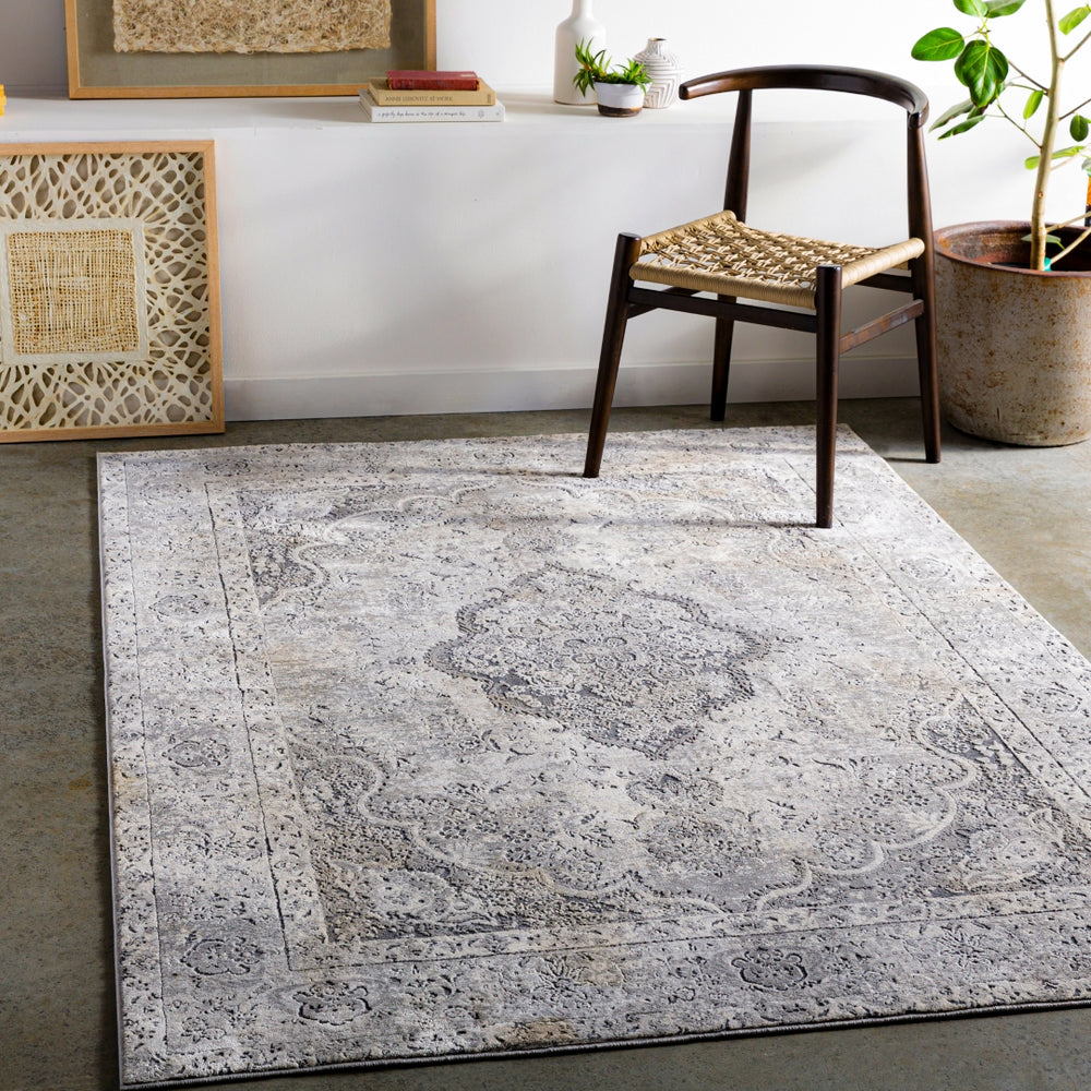 Aisha AIS-2319 Traditional Polyester Rug AIS2319-9123 Medium Gray, Taupe, Charcoal, Ivory 100% Polyester 9' x 12'3"