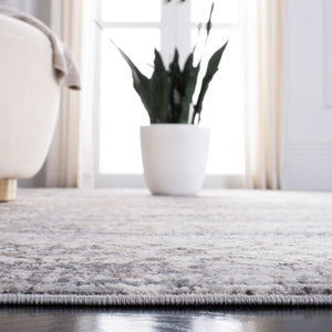 Safavieh Amelia 484 50% Polypropylene, 50% Polyester Shrink Power Loomed Transitional Rug ALA484H-9