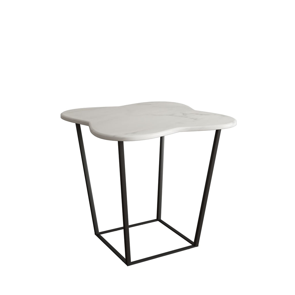 Modrest Aleidy White Marble + Black Metal End Table English Elm