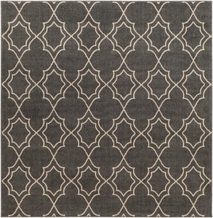 Alfresco ALF-9590 Cottage Olefin Rug ALF9590-89SQ Black, Camel 100% Olefin 8'10" Square