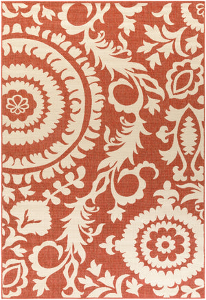 Alfresco ALF-9613 Cottage Olefin Rug ALF9613-76109 Rust, Cream 100% Olefin 7'3" x 10'6"