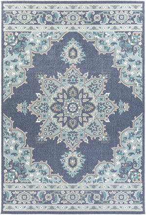 Alfresco ALF-9670 Traditional Olefin Rug ALF9670-76109 Charcoal, Aqua, Taupe, White, Teal 100% Olefin 7'3" x 10'6"