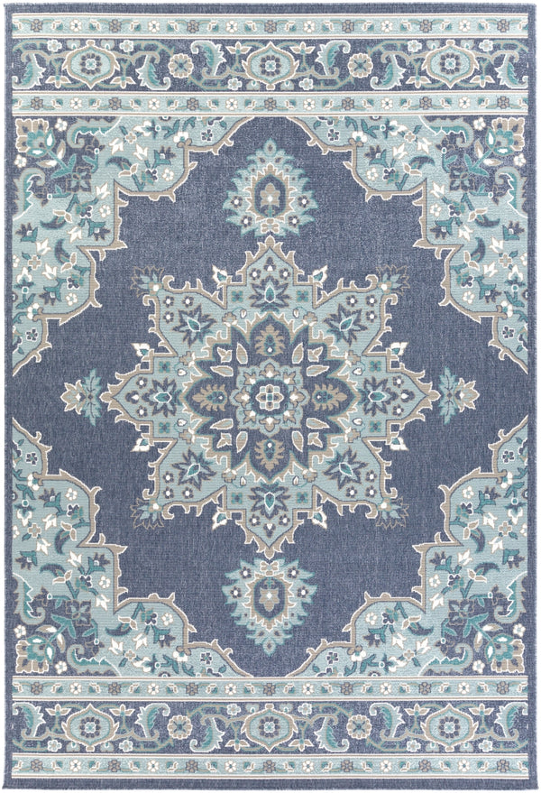 Alfresco ALF-9670 Traditional Olefin Rug ALF9670-76109 Charcoal, Aqua, Taupe, White, Teal 100% Olefin 7'3" x 10'6"